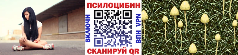 Псилоцибиновые грибы мухоморы купить закладку Шелехов